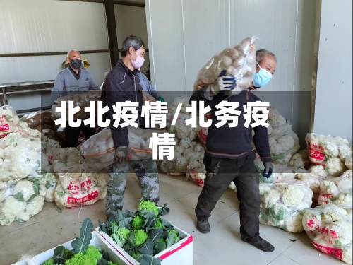 北北疫情/北务疫情-第1张图片