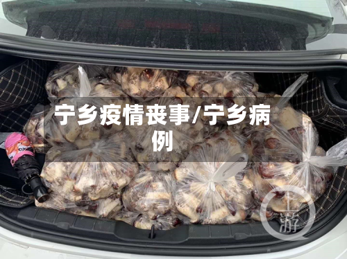 宁乡疫情丧事/宁乡病例-第1张图片