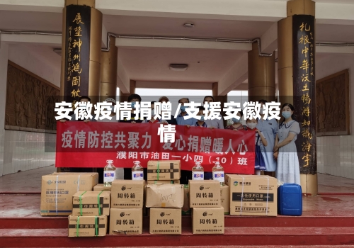 安徽疫情捐赠/支援安徽疫情-第2张图片