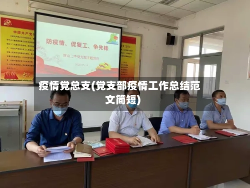疫情党总支(党支部疫情工作总结范文简短)-第1张图片