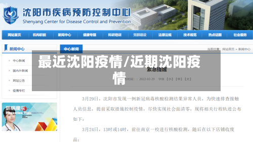 最近沈阳疫情/近期沈阳疫情-第1张图片