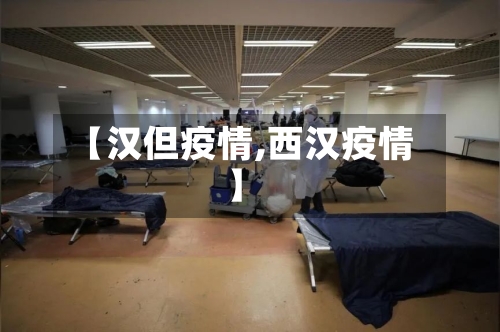 【汉但疫情,西汉疫情】-第1张图片