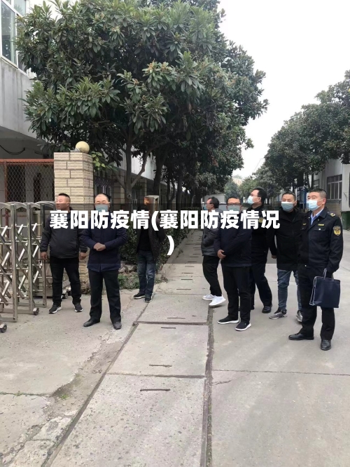 襄阳防疫情(襄阳防疫情况)-第1张图片