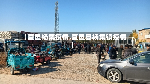 【夏邑杨集疫情,夏邑县杨集镇疫情】-第2张图片