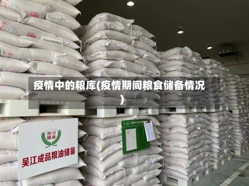 疫情中的粮库(疫情期间粮食储备情况)-第1张图片