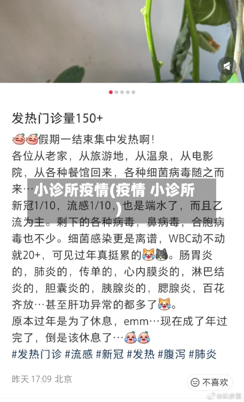 小诊所疫情(疫情 小诊所)-第1张图片
