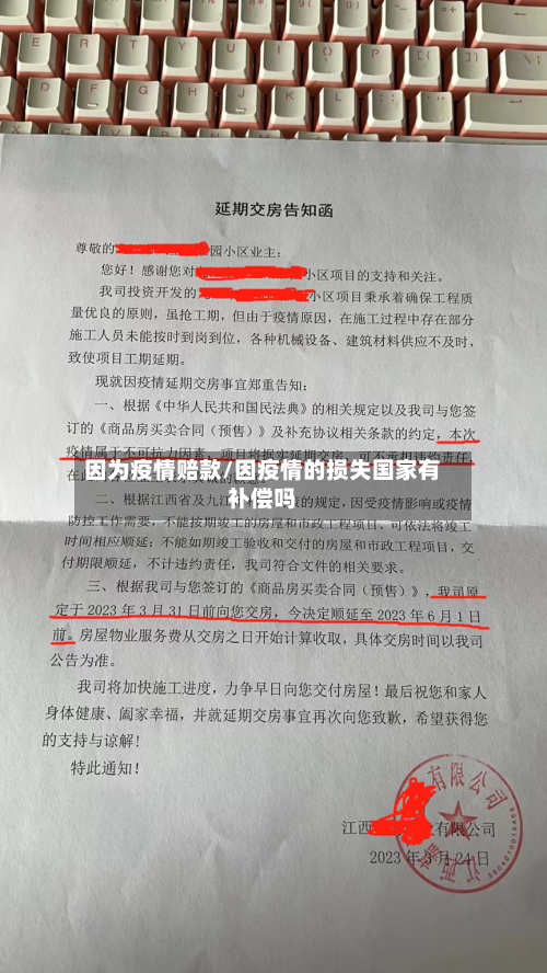 因为疫情赔款/因疫情的损失国家有补偿吗-第3张图片