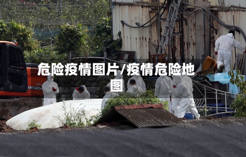 危险疫情图片/疫情危险地图-第1张图片