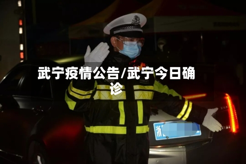 武宁疫情公告/武宁今日确诊-第1张图片