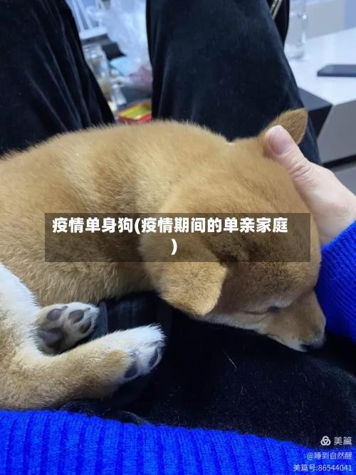 疫情单身狗(疫情期间的单亲家庭)-第1张图片