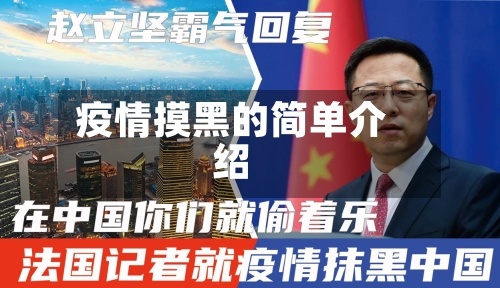 疫情摸黑的简单介绍-第1张图片