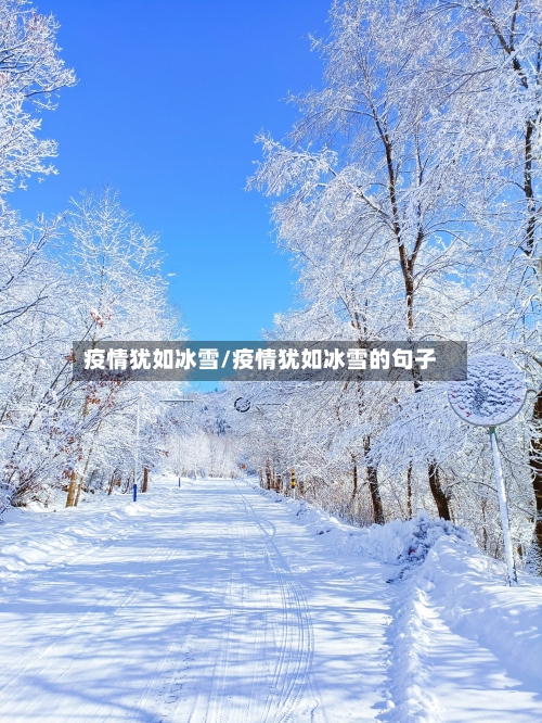 疫情犹如冰雪/疫情犹如冰雪的句子-第1张图片
