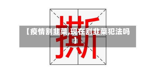 【疫情割韭菜,现在割韭菜犯法吗】-第3张图片