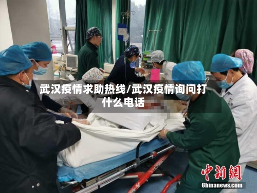 武汉疫情求助热线/武汉疫情询问打什么电话-第3张图片