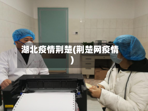 湖北疫情荆楚(荆楚网疫情)-第3张图片