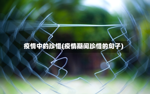 疫情中的珍惜(疫情期间珍惜的句子)-第1张图片