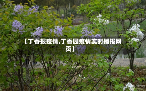 【丁香报疫情,丁香园疫情实时播报网页】-第1张图片