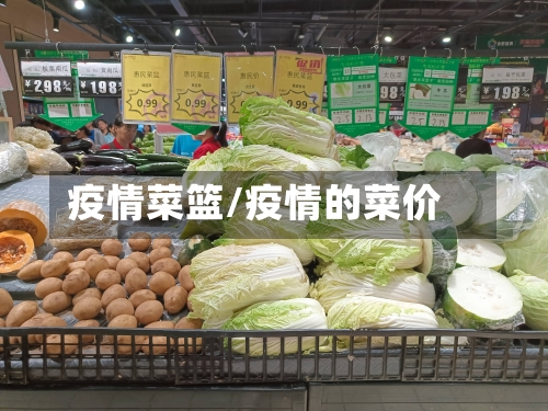 疫情菜篮/疫情的菜价-第2张图片