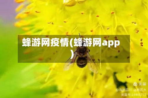 蜂游网疫情(蜂游网app)-第1张图片