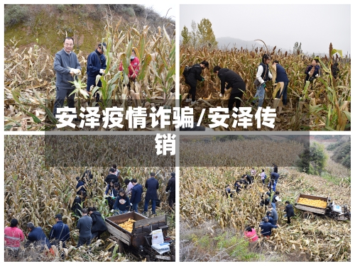 安泽疫情诈骗/安泽传销-第2张图片