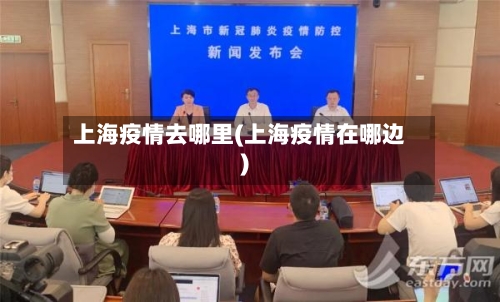 上海疫情去哪里(上海疫情在哪边)-第1张图片