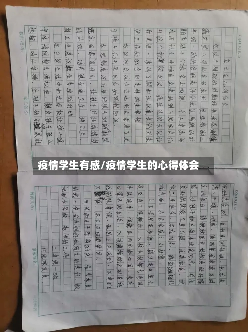 疫情学生有感/疫情学生的心得体会-第2张图片