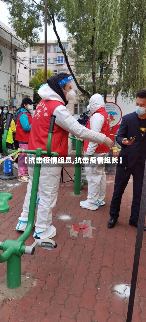 【抗击疫情组员,抗击疫情组长】-第1张图片