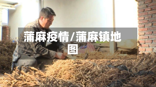 蒲麻疫情/蒲麻镇地图-第1张图片