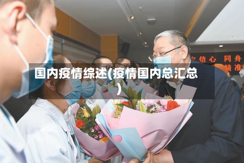 国内疫情综述(疫情国内总汇总)-第1张图片