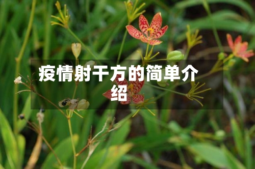 疫情射干方的简单介绍-第3张图片