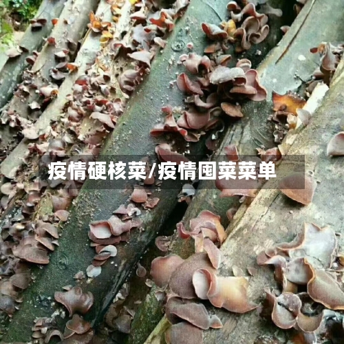 疫情硬核菜/疫情囤菜菜单-第1张图片