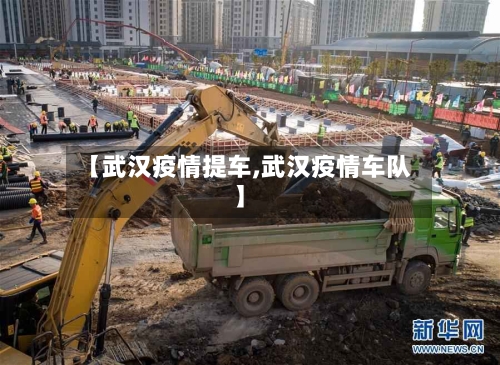 【武汉疫情提车,武汉疫情车队】-第1张图片