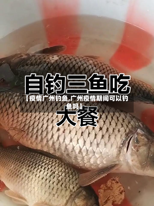 【疫情广州钓鱼,广州疫情期间可以钓鱼吗】-第1张图片
