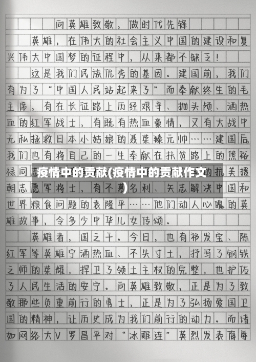疫情中的贡献(疫情中的贡献作文)-第1张图片