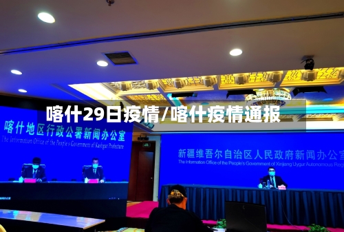 喀什29日疫情/喀什疫情通报-第2张图片