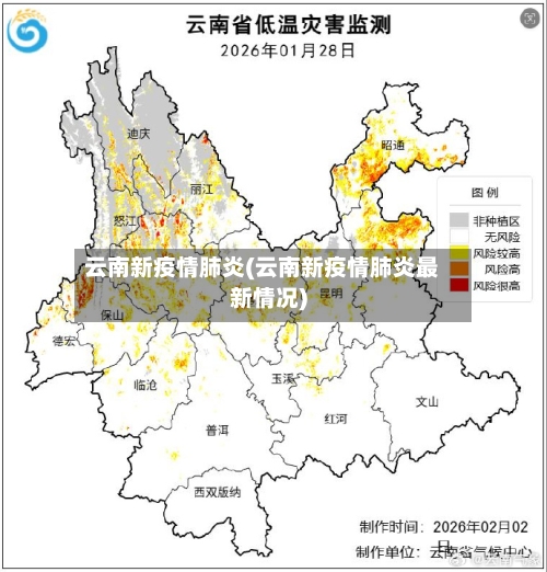 云南新疫情肺炎(云南新疫情肺炎最新情况)-第1张图片