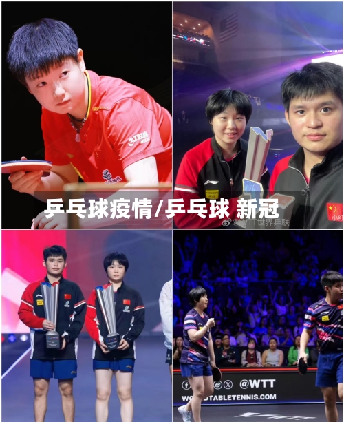 乒乓球疫情/乒乓球 新冠-第2张图片