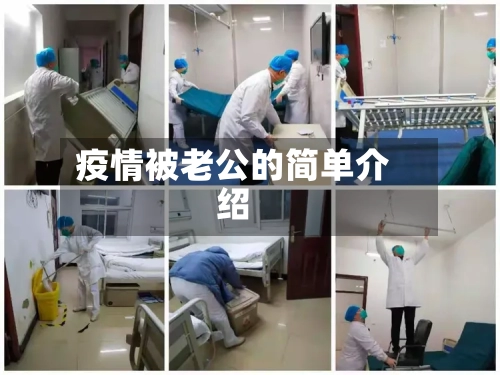 疫情被老公的简单介绍-第2张图片