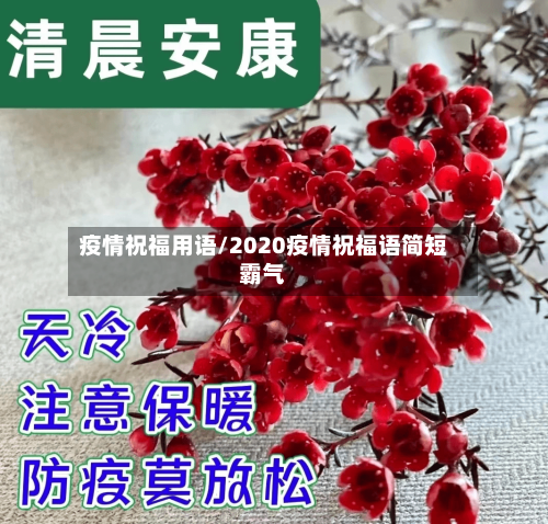 疫情祝福用语/2020疫情祝福语简短霸气-第1张图片