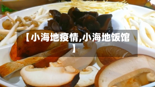 【小海地疫情,小海地饭馆】-第1张图片