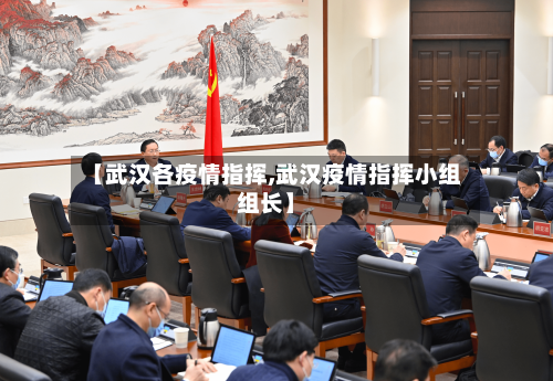 【武汉各疫情指挥,武汉疫情指挥小组组长】-第1张图片
