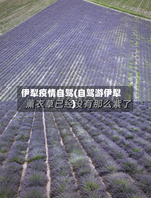 伊犁疫情自驾(自驾游伊犁)-第1张图片