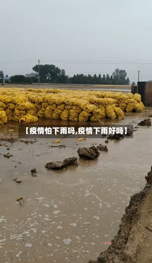 【疫情怕下雨吗,疫情下雨好吗】-第3张图片