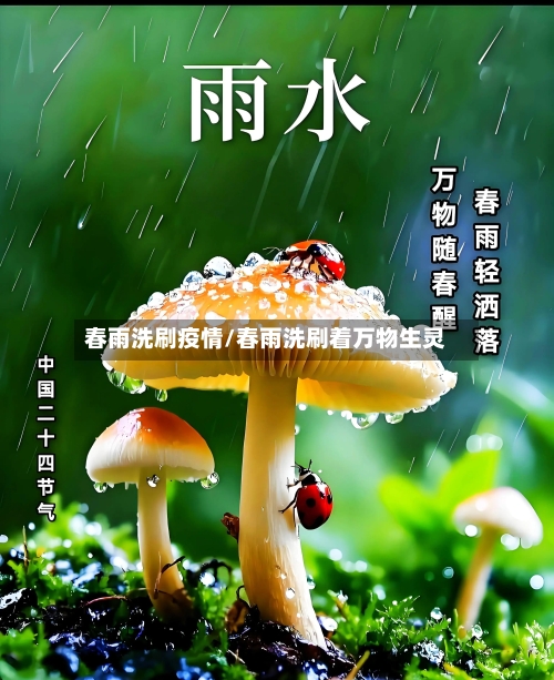 春雨洗刷疫情/春雨洗刷着万物生灵-第2张图片