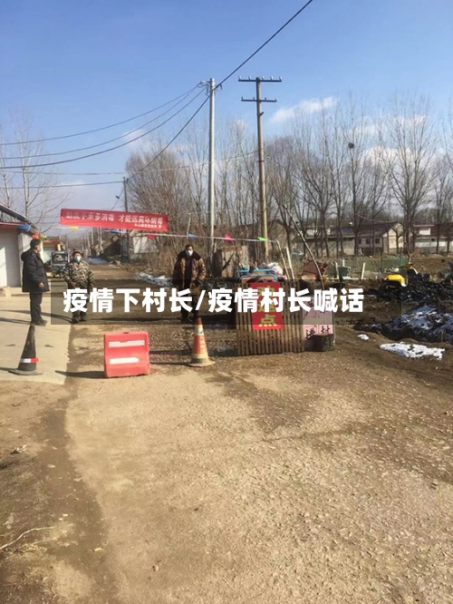 疫情下村长/疫情村长喊话-第1张图片