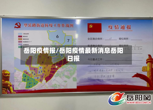 岳阳疫情报/岳阳疫情最新消息岳阳日报-第1张图片
