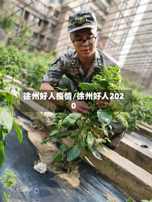 徐州好人疫情/徐州好人2020-第1张图片