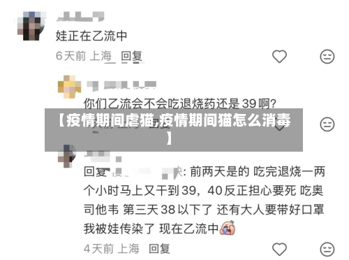 【疫情期间虐猫,疫情期间猫怎么消毒】-第1张图片