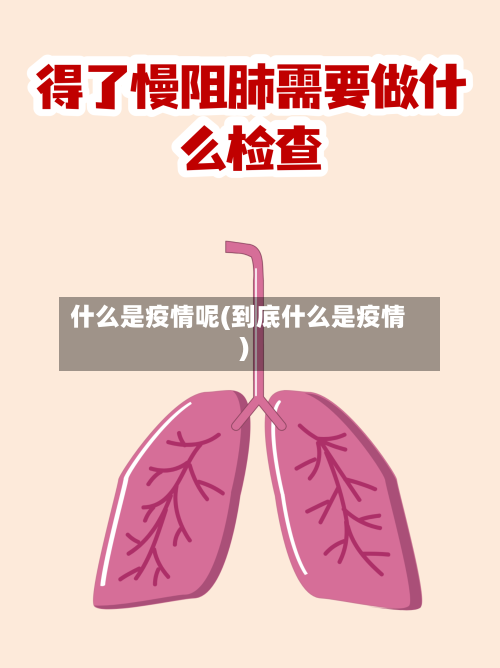 什么是疫情呢(到底什么是疫情)-第1张图片