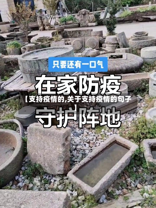 【支持疫情的,关于支持疫情的句子】-第1张图片